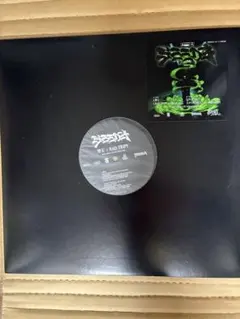 2026年最新】SEEDA レコードの人気アイテム - メルカリ