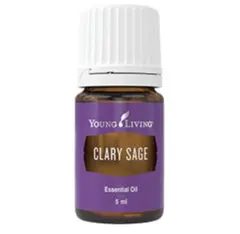 2026年最新】ヤングリビングの人気アイテム - メルカリ