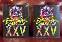 2026年最新】B'z／B'z LIVE−GYM Pleasure 2013 ENDLESS SUMMER−XXV