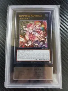 2026年最新】フレシアの蟲惑魔 レリーフの人気アイテム - メルカリ