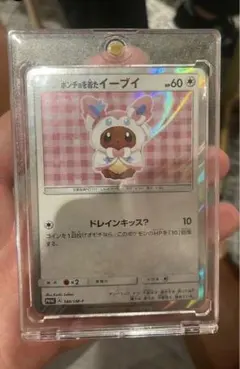 2026年最新】ポンチョを着たイーブイ ニンフィアの人気アイテム - メルカリ