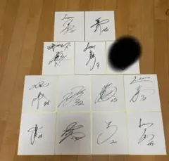 2026年最新】ライオンズ 色紙 サインの人気アイテム - メルカリ