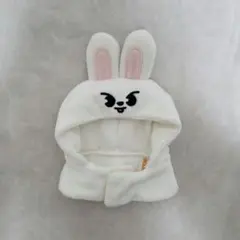 2026年最新】straykids リノ ペンライトカバーの人気アイテム - メルカリ