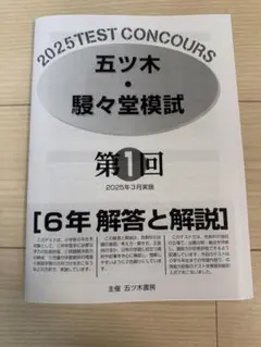 2026年最新】五ツ木駸々堂模試の人気アイテム - メルカリ