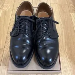 2026年最新】レッドウイング ポストマン 26.5の人気アイテム - メルカリ