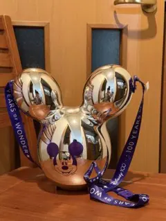 m69462256354_1.jpg?1765026087