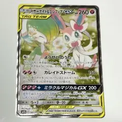 2026年最新】サーナイト&ニンフィア saの人気アイテム - メルカリ