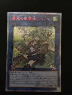 2026年最新】蒼翠の風霊使いウィン 25thの人気アイテム - メルカリ