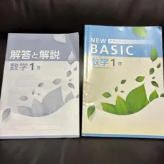 2026年最新】数学 new basicの人気アイテム - メルカリ