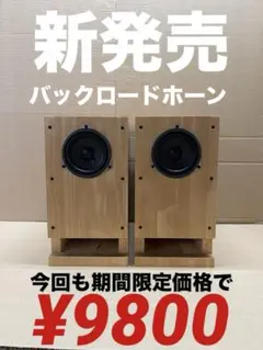 2026年最新】バックロードホーンの人気アイテム - メルカリ