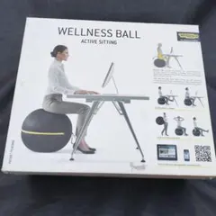 2026年最新】テクノジム バランスボールの人気アイテム - メルカリ