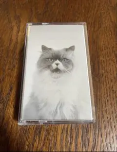 2026年最新】カネコアヤノ カセットの人気アイテム - メルカリ