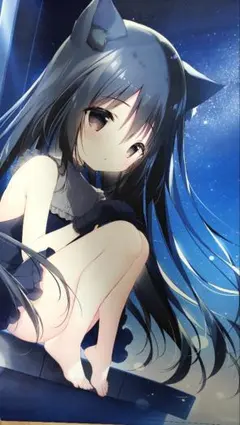 2026年最新】しらたまこ ブランケットの人気アイテム - メルカリ