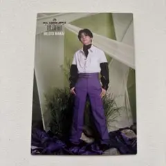 2026年最新】mrs. green apple フォトカード utopiaの人気アイテム