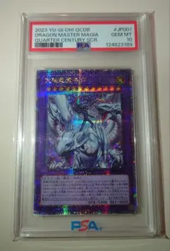 2026年最新】究極竜魔導師 25th psa10の人気アイテム - メルカリ