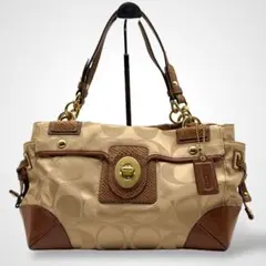 2026年最新】コーチパイソン バッグの人気アイテム - メルカリ