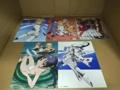 2026年最新】スカイガールズ dvdの人気アイテム - メルカリ