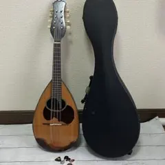 2026年最新】マンドリン s.watanabeの人気アイテム - メルカリ