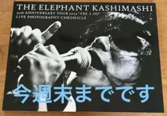 2026年最新】エレファントカシマシ 写真集の人気アイテム - メルカリ