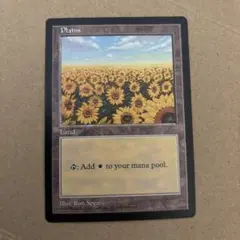 2026年最新】mtg ひまわりの人気アイテム - メルカリ