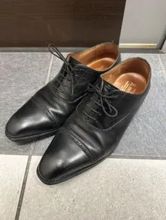 2026年最新】スコッチグレイン 2416の人気アイテム - メルカリ