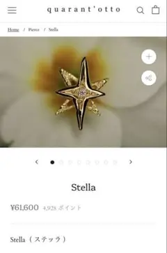 2026年最新】クアラントット ピアスの人気アイテム - メルカリ