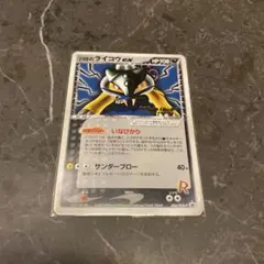 2026年最新】r団のライコウの人気アイテム - メルカリ