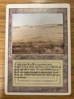 2026年最新】デュアルランドの人気アイテム - メルカリ