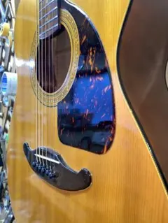 2026年最新】tokai humming birdの人気アイテム - メルカリ