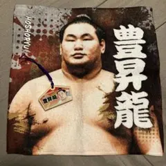 2026年最新】豊昇龍 タオルの人気アイテム - メルカリ