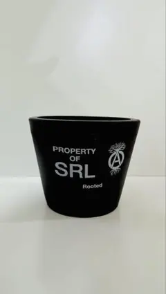 2026年最新】neighborhood 鉢の人気アイテム - メルカリ