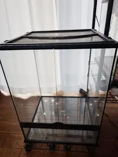 2026年最新】温室 ガラスケースの人気アイテム - メルカリ
