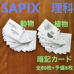2026年最新】サピックス 理科 植物カードの人気アイテム - メルカリ