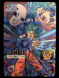ドラゴンボールヒーローズ sh5-cp1 孫悟空 サンプルカード - メルカリ