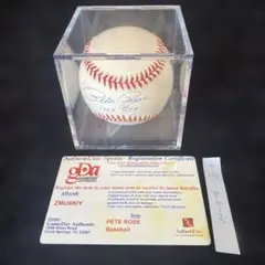 2026年最新】ピートローズ サインの人気アイテム - メルカリ