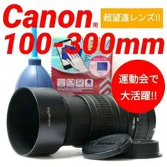 2026年最新】SIGMA 100-300mm 4.5-6.7DLの人気アイテム - メルカリ