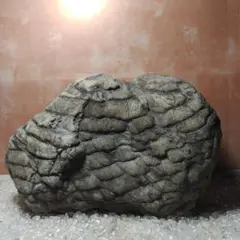 2026年最新】加茂川石の人気アイテム - メルカリ