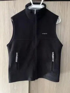 2026年最新】パタゴニア シンチラ ベスト lの人気アイテム - メルカリ