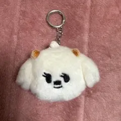 2026年最新】TXT プルバトゥ バムグッ キーリングの人気アイテム