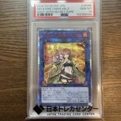 2026年最新】ヒータ 20th psa10の人気アイテム - メルカリ