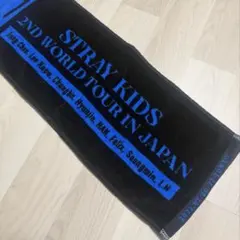 2026年最新】Maniac タオル straykidsの人気アイテム - メルカリ