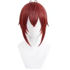 2026年最新】リドル ウィッグの人気アイテム - メルカリ