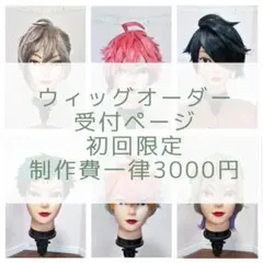 2026年最新】ウィッグ オーダーの人気アイテム - メルカリ