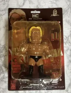 2026年最新】高山善廣 フィギュアの人気アイテム - メルカリ