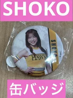 2026年最新】若鷹 ハニーズの人気アイテム - メルカリ