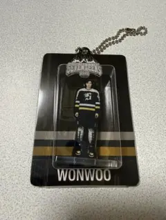 2026年最新】wonwooの人気アイテム - メルカリ