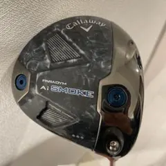 2026年最新】パラダイムAIスモーク トリプルダイヤモンド 10.5の人気