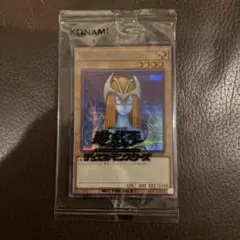 2026年最新】ホーリーエルフ ブルシクの人気アイテム - メルカリ