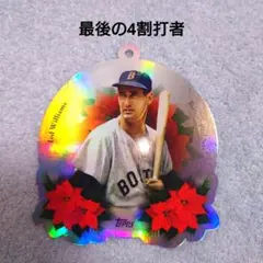 2026年最新】テッドウィリアムズの人気アイテム - メルカリ