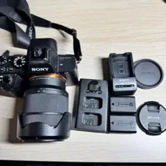 2026年最新】sony α7 ii ilce-7m2の人気アイテム - メルカリ